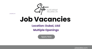Elite Group Holding Announced Latest Job Vacancies in UAE